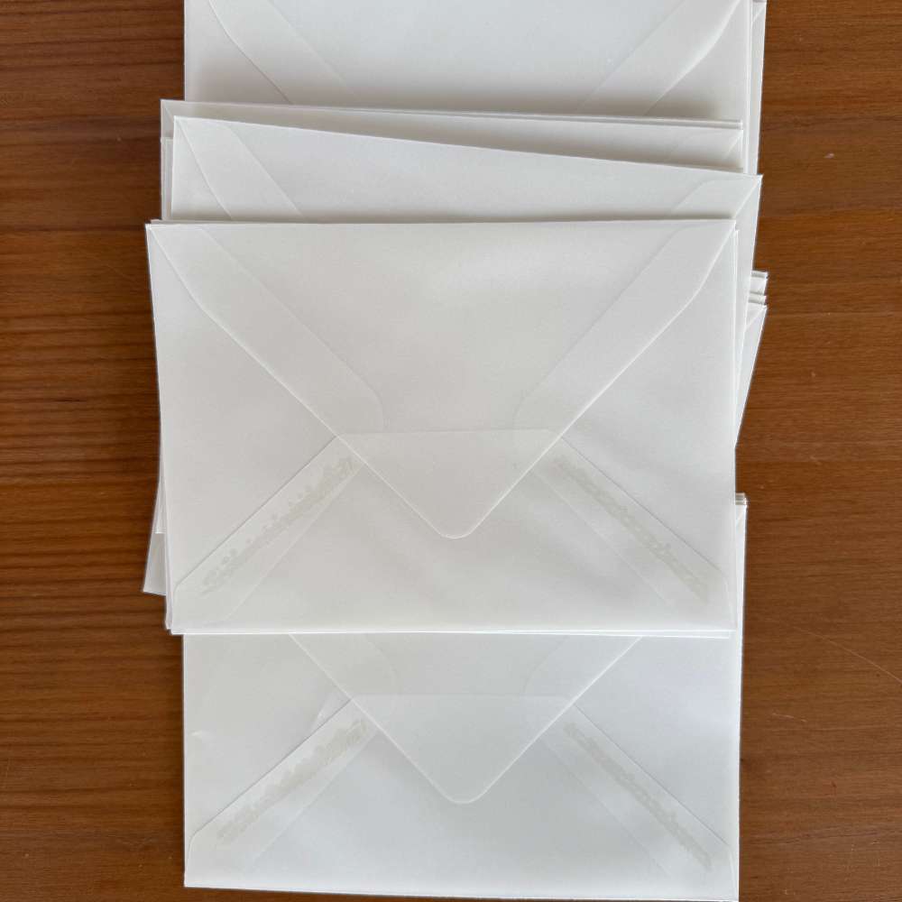 Plic Vellum C6 si B6 defecte minore
